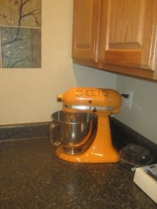 IMG_1752-e1302930425224-225x300